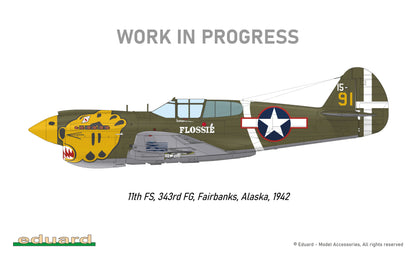 Eduard R0023 1/48 Royal Class P-40E Warhawk